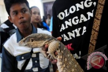 Pecinta Reptil Tegal 