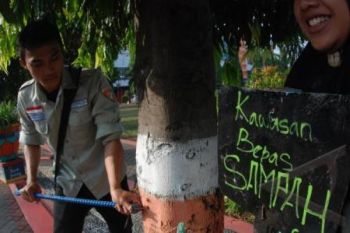 50 Kilogram Paku Dicabut dari Pohon Penghijauan