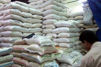 Bulog Sumbar Targetkan Pengadaan Beras Lokal 8.500 Ton
