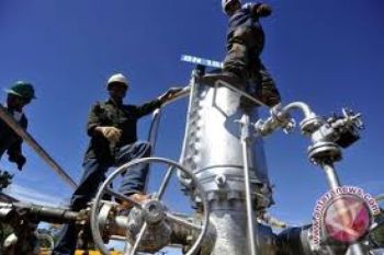 Pertamina Peroleh Minyak 600.000 Barel di Aljazair