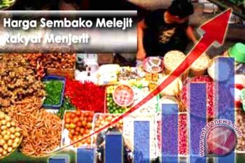 Harga Barang Di Kotawaringin Timur Diprediksi Meningkat 