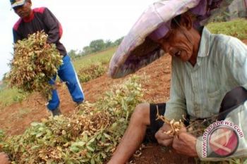 Petani Teweh Selatan Juara Pemakai Air Se-Barut 