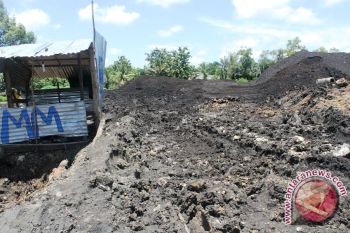 Tempat penimbunan batu bara Batukuning OKU diduga ilegal