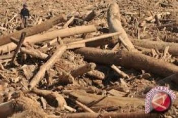 Warga Palu Kumpul Kayu Bakar Saat Banjir 