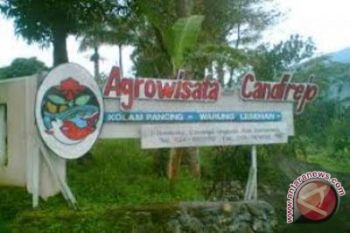 Pelajar dukung kampanye desa wisata Borobudur 