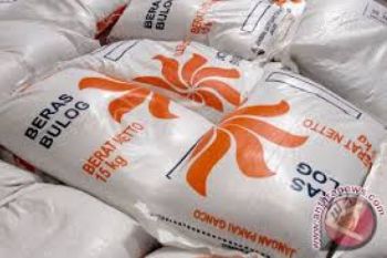 Bulog Targetkan Beli 10.000 Ton Beras Petani