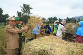 Pemkot Payakumbuh Jajaki Peluang Sentra Beras Organik
