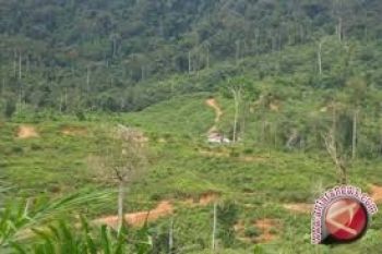 Pemkot Palu Minta Luasan Tahura Dikurangi 