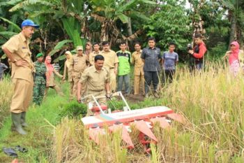 Hasil Padi Organik Payakumbuh Capai 7,6 Ton/Ha