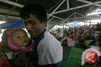 Bayi pengungsi erupsi Sinabung  1.278 orang