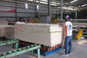 Pabrik Plywood 