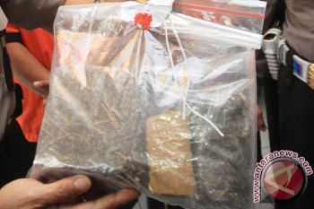 Pengedar Ganja Diringkus Saat Transaksi