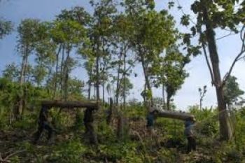 Warga Geruduk Kejaksaan Tuntut 17 Penebang Dibebaskan