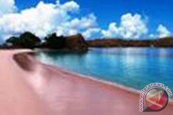 Investor Swedia lirik potensi Pantai Pink-Lombok