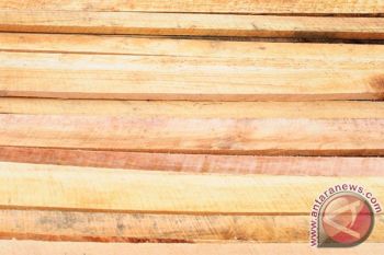Industri Berbahan Kayu Di Kepulauan Meranti Lesu