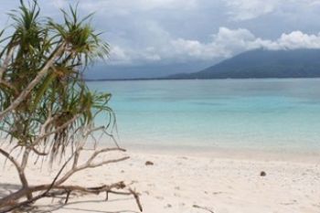 Pulau Senoa Tempat Konservasi dan Destinasi Penyu