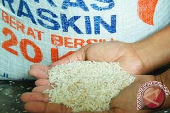 Program raskin di NTB masih menyasar 471.566 RTS