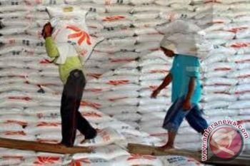 Bulog NTB upayakan serap 190.000 ton beras petani