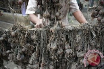 Aktivitas Warga Kediri Kembali Normal