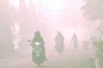 Kabut Asap di Pekanbaru Menebal