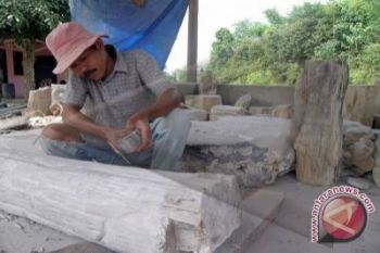 Warga Gunung Kidul temukan fosil kayu 