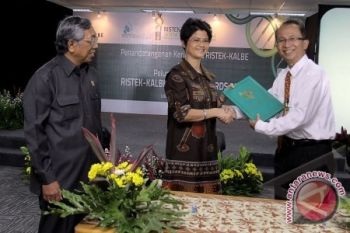 Menristek Minta Sulteng Tingkatkan Nilai Tambah Produk