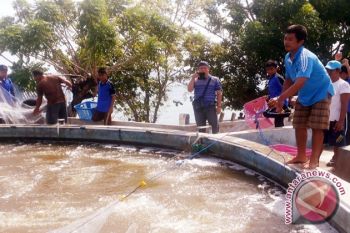 Pemerintah Diharap Bantu Pengembangan Teknologi Supra Intensif 