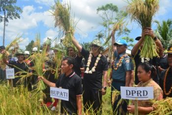 Bupati: Mentawai Siap Swasembada Pangan