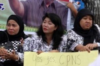 Nasib Honorer Gagal Seleksi CPNS Tidak Jelas