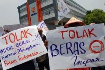 Kementan: Tidak Ada Rekomendasi Impor Beras Vietnam