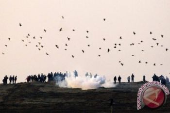  17 Warga Gaza Luka Bentrok Lawan Tentara Israel