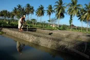 Ikan Air Tawar Bertahan dari Abu Kelud 