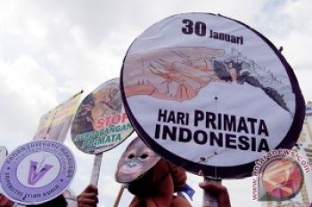  Perdagangan Satwa Secara Online Makin Memprihatinkan
