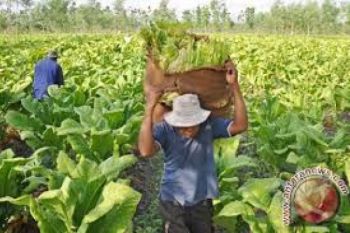DPR Cari Masukan di Temanggung untuk RUU Pertembakauan