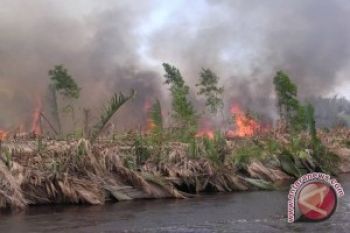  Polda Riau Tetapkan 40 Tersangka Pembakar Lahan