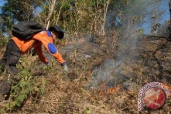 Empat Perusahaan Ditengarai Bakar Lahan