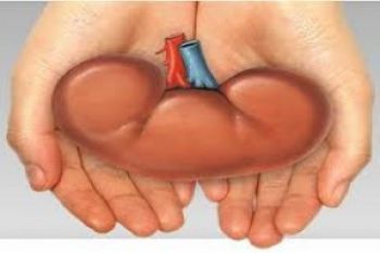  Transplantasi Ginjal, Cara Ideal Tangani Pasien Gagal Ginjal