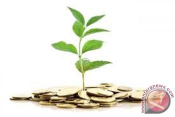Pemprov NTB godok raperda insentif investasi