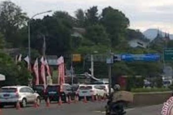   Bengkalis Harapkan Tidak Alih Fungsi Lahan Pertanian