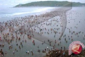 Ribuan Warga Berebut Nyale di Lombok Tengah