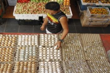 Harga Telur Puyuh Naik/Joko Sulistyo