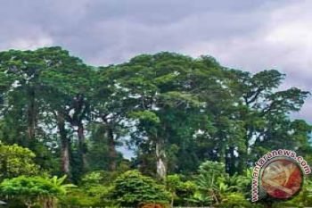 Legislator ajak milenial peduli hutan pulau sumbawa
