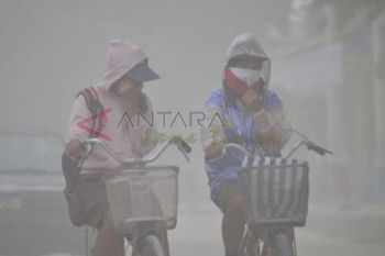 Masker Seadanya