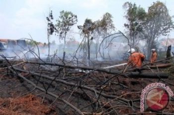  Polusi Asap Kebakaran Lahan Kembali Melanda Pekanbaru