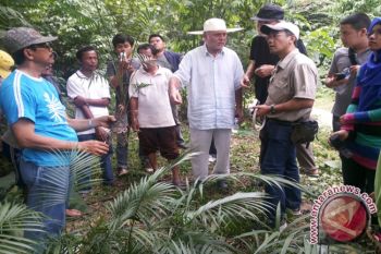 Mesin Papan Rotan Sulteng Siap Berproduksi 
