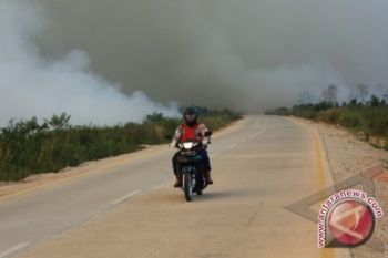 Titik Panas di Riau Kembali Meningkat