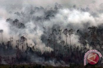  Polisi Kerahkan Tim Pemburu Pembakar Hutan Dan Lahan