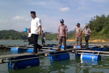 Taslim: Danau Pangkalan Potensial untuk Kembangkan Ikan