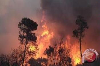 Taman Nasional Tingkatkan Operasi Cegah Kebarakan