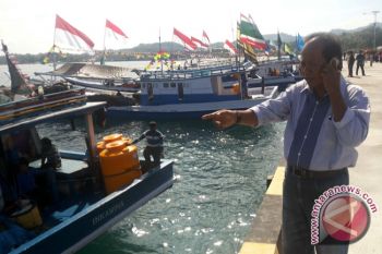 Pengusaha Tolitoli Kewalahan Penuhi Permintaan Ikan Segar 